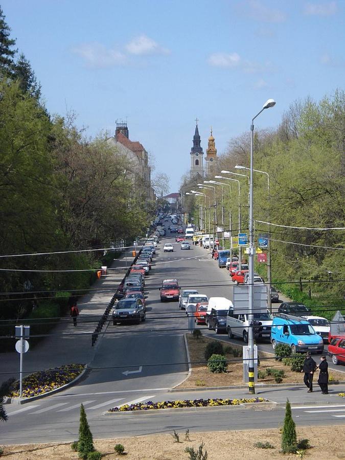 Central Cosy Apart Oradea Apartment Luaran gambar
