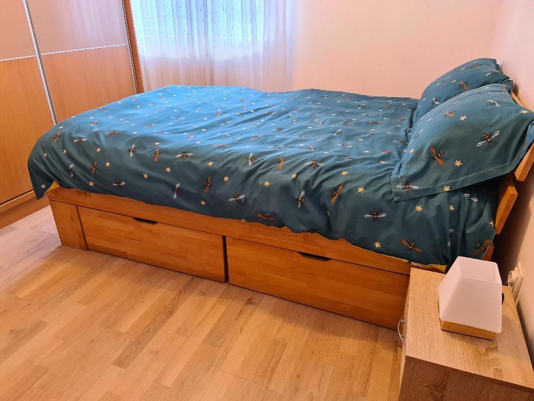 Central Cosy Apart Oradea Apartment Luaran gambar