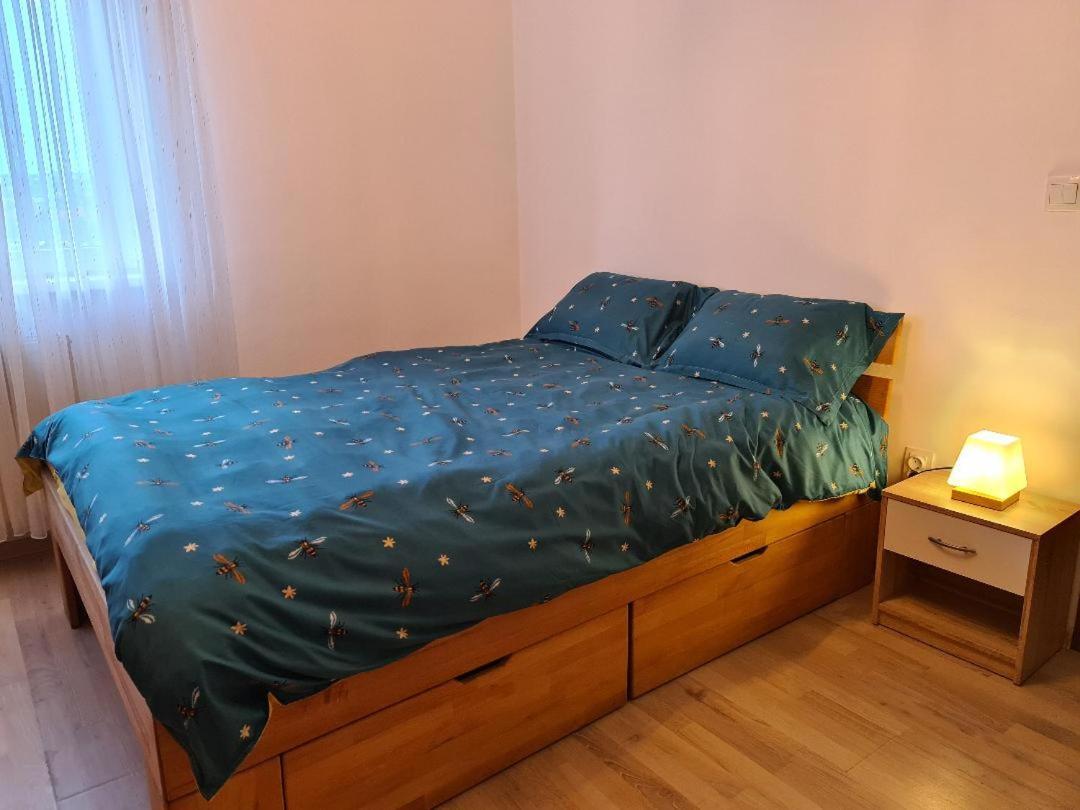 Central Cosy Apart Oradea Apartment Luaran gambar