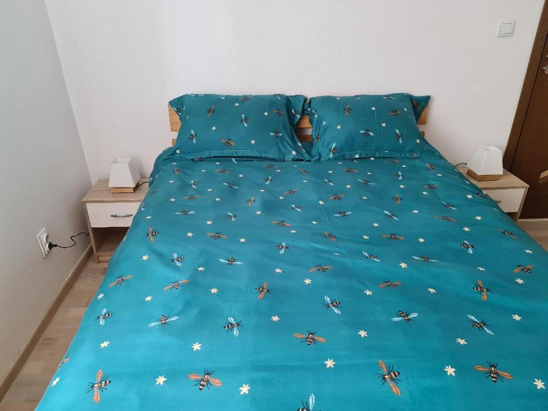 Central Cosy Apart Oradea Apartment Luaran gambar