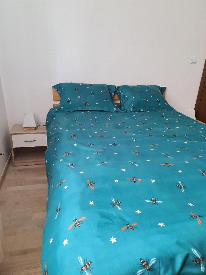 Central Cosy Apart Oradea Apartment Luaran gambar